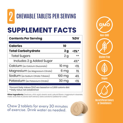 SaltStick FastChews - 10 Count Packet - Single