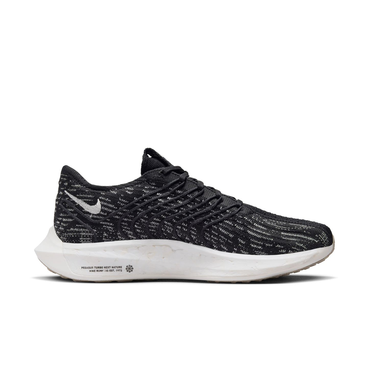 Womens Nike Pegasus Turbo Flyknit Next Nature