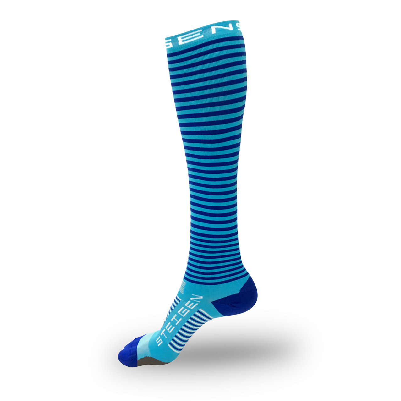 Steigen Full Length Blueberry Socks